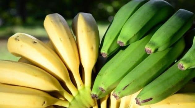 Frutas tropicais estão dando lucro no oeste catarinense.