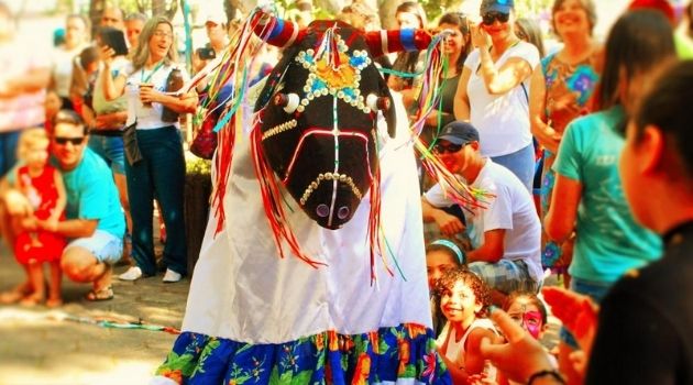 A tradição do boi-de-mamão, o patrimônio imaterial catarinense.