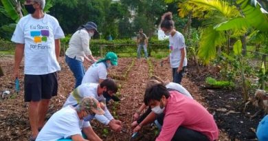 Horta do Jardim Botânico de Florianópolis é revitalizada