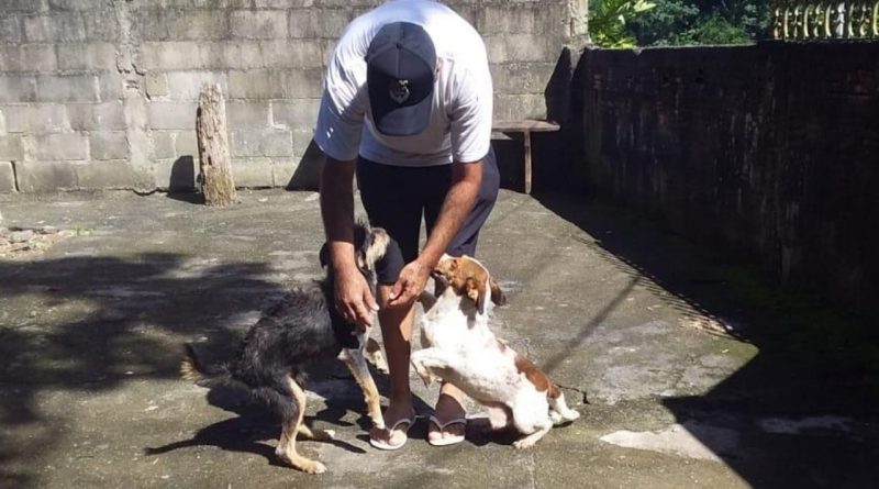 Cães resgatados durante chuvas em Janeiro são devolvidos aos donos