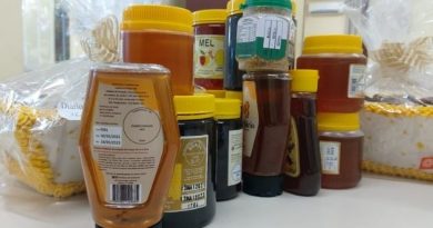 Feira do mel de Santa Catarina segue no formato virtual até 30 de junho.