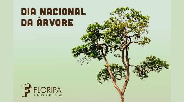 Floripa Shopping comemora o Dia da Árvore com ação sustentável