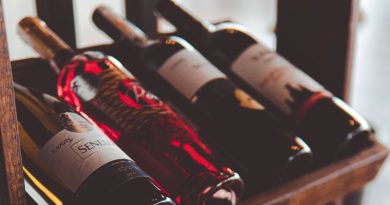 Grupo Koch projeta 40% de crescimento na venda de vinhos