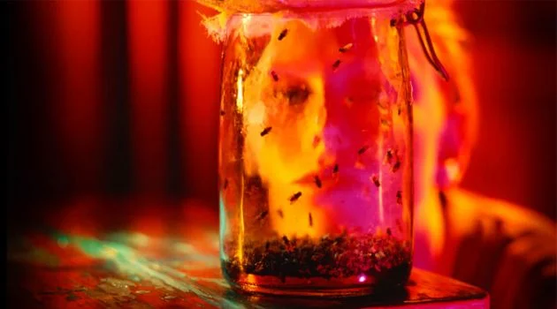 Alice In Chains anuncia edição comemorativa de "Jar Of Flies"