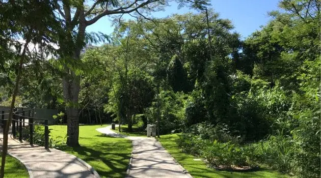 Parque Linear do Córrego Grande completa 10 anos de atividades em Florianópolis