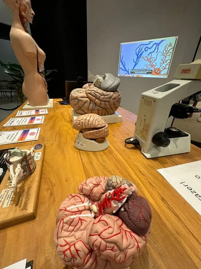 UFSC e Villa Romana Shopping promovem Semana do Cérebro até domingo (17)