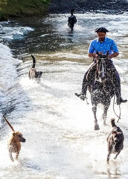 Florianópolis recebe o lançamento do fotolivro sobre as belezas da Serra de SC