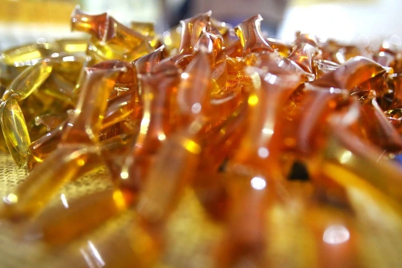 XXIV Feira do Mel de Santa Catarina acontece de 4 a 7 de junho em Florianópolis