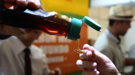 XXIV Feira do Mel de Santa Catarina acontece de 4 a 7 de junho em Florianópolis