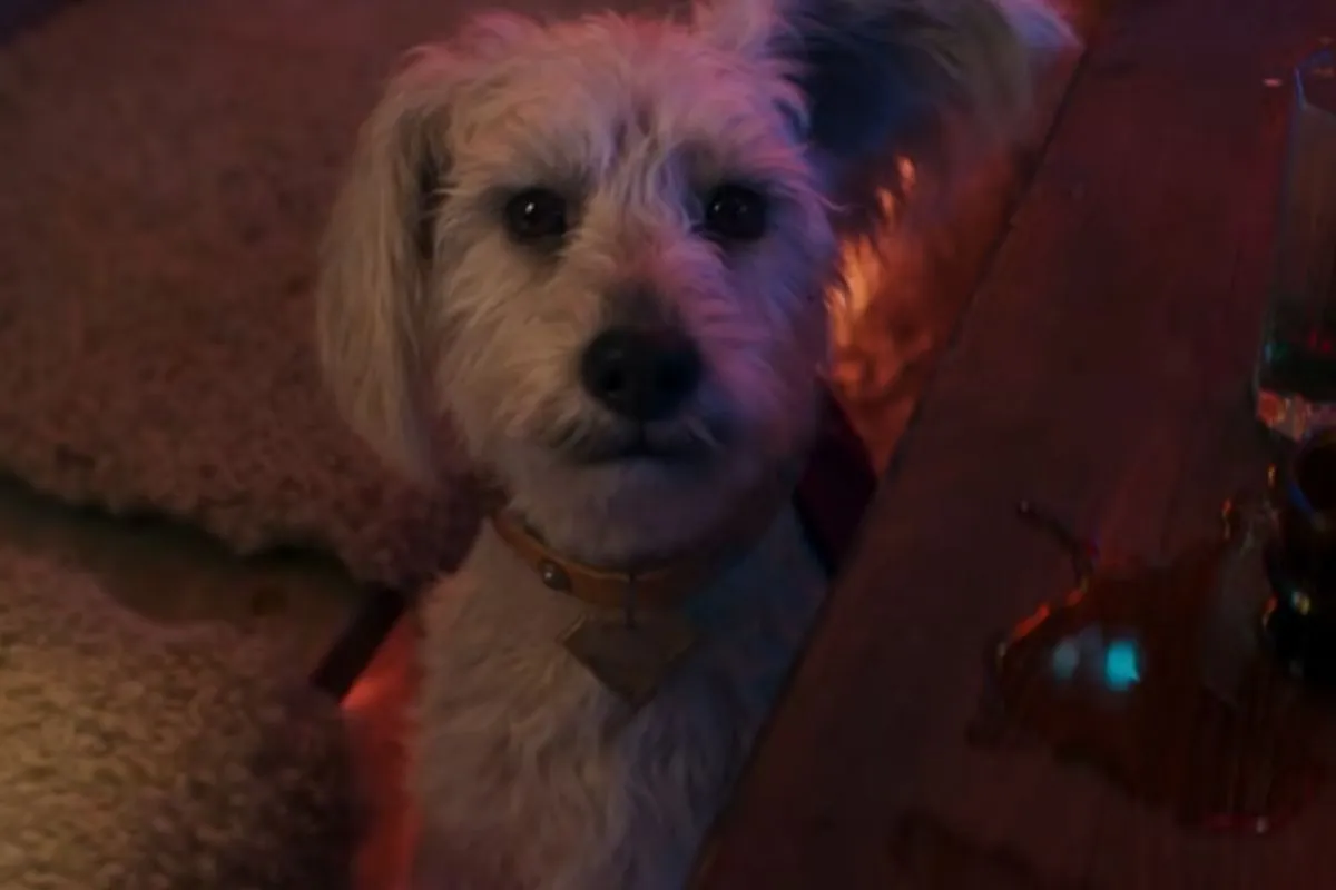 Supergirl traz Milly Alcock como anti-heroína, vingativa ao som de Blondie