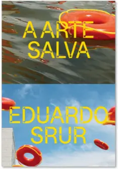 “A arte salva”: novo livro de Eduardo Srur sobre cidade e sociedade