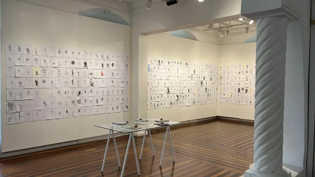 Exposições gratuitas movimentam circuito cultural de Florianópolis.